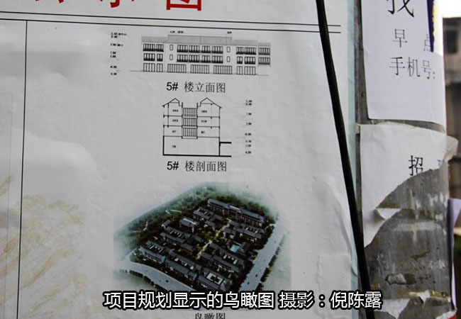 项目规划显示的鸟瞰图.jpg