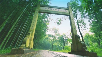 p65_b.jpg