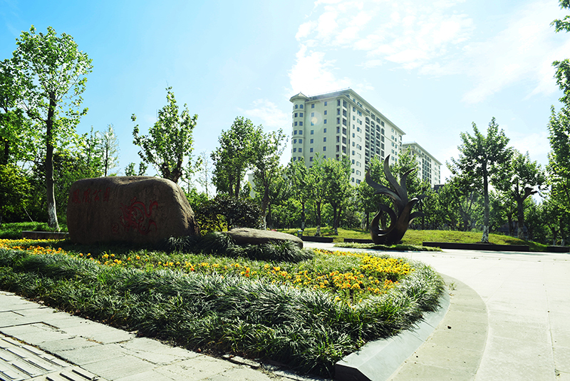 凤凰公园-1.jpg