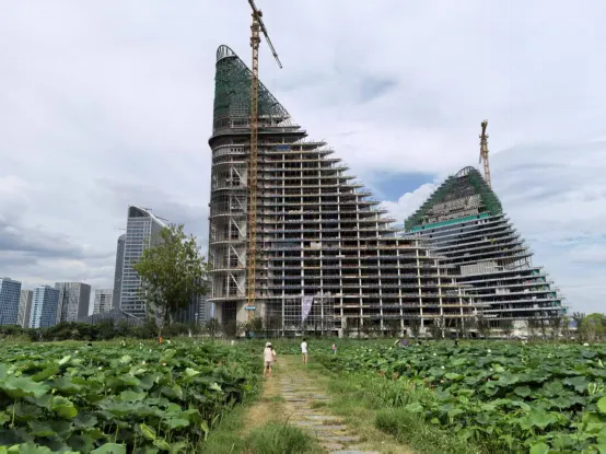 观点图片
